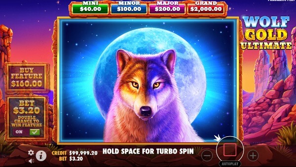 매력적인 세계로 초대하는 play wolf gold