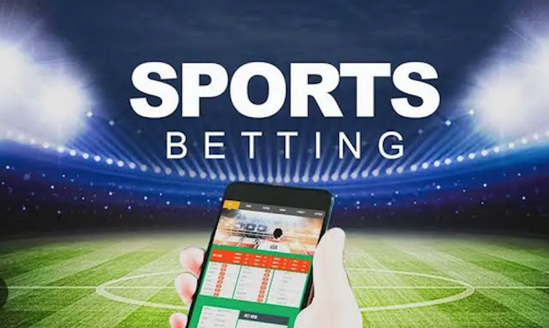 Fidel Bet Your Ultimate Destination for Online Betting