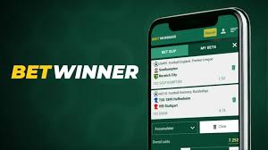 Exceptional Customer Service at BetWinner FR -650791171