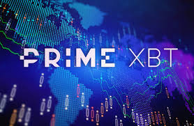Maximize Your Profits with PrimeXBT Copy Trading Maximize Your Profits with PrimeXBT Copy Trading
