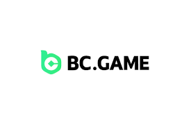 Comprehensive Guide to Support at BC.Game
