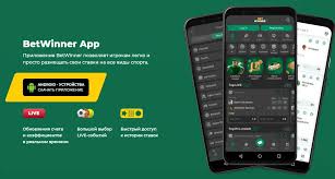منصة Betwinner تجربة الرهان المختلفة في عالم الرياضة