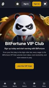 Bitfortune vs Roobet A Deep Dive into Privacy and Security